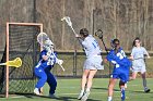 WLax vs WNE  Women’s Lacrosse began their 2024 season with a scrimmage against Western New England University. : WLax, lacrosse